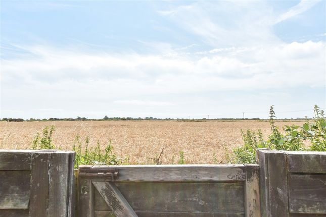 The Green Burmarsh, Romney Marsh photo 2