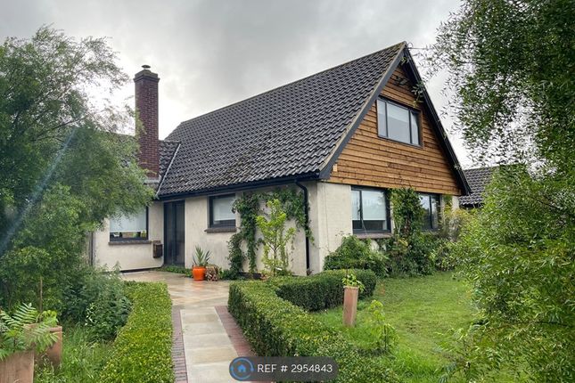 4-bed detached on Pippettes Farm, Stone Street, Boxford, Sudbury, £2,275/mo