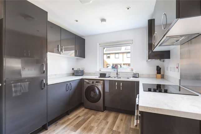 13, Fox Avenue, Bristol photo 4