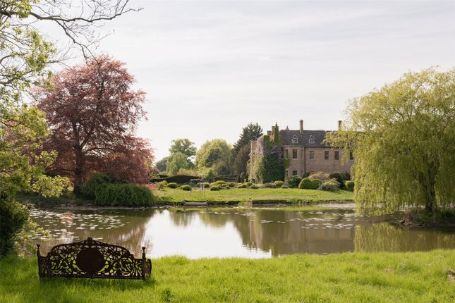 Grounds