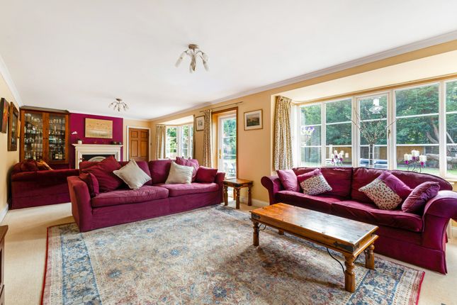 Little Orchard House,, Headley Fields, Bordon photo 2