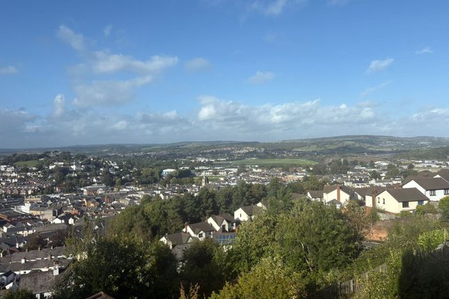 ., Newton Abbot photo 5