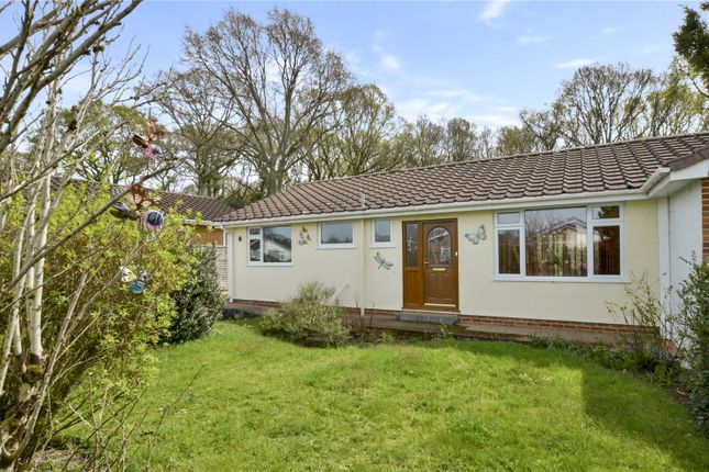 Bungalow for sale in Queens Close, West Moors, Ferndown, Dorset