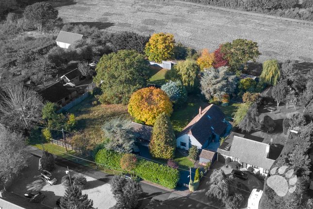 Oak Avenue, Wickford photo 3