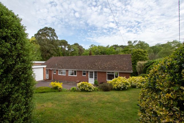 Thumbnail Bungalow for sale in Higher Metcombe, Ottery St. Mary