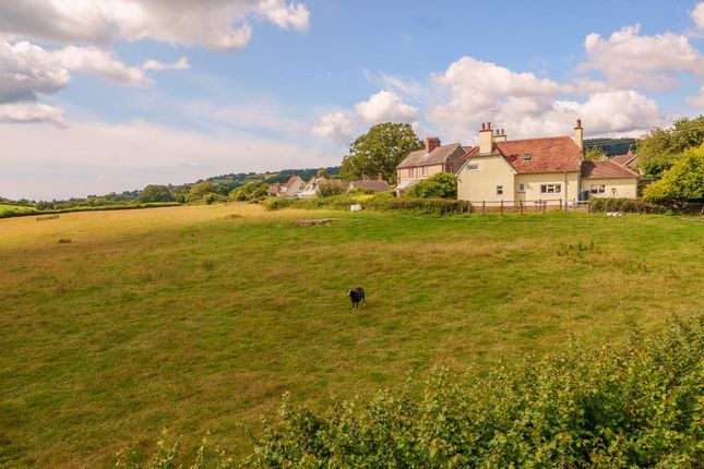 Wootton Fitzpaine, Bridport, Dorset DT6, 3 bedroom detached house for ...