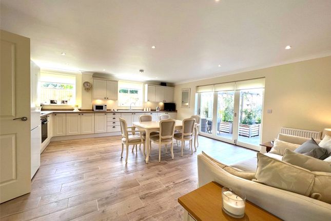 3, Mary Ann Lane, East Dean photo 2