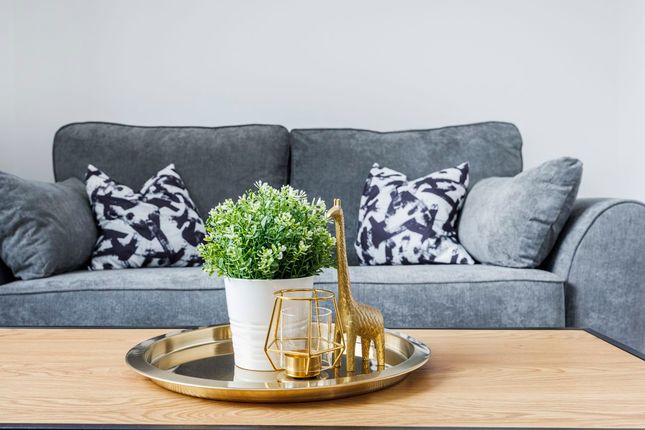 Thumbnail Flat to rent in Alma Street, Luton