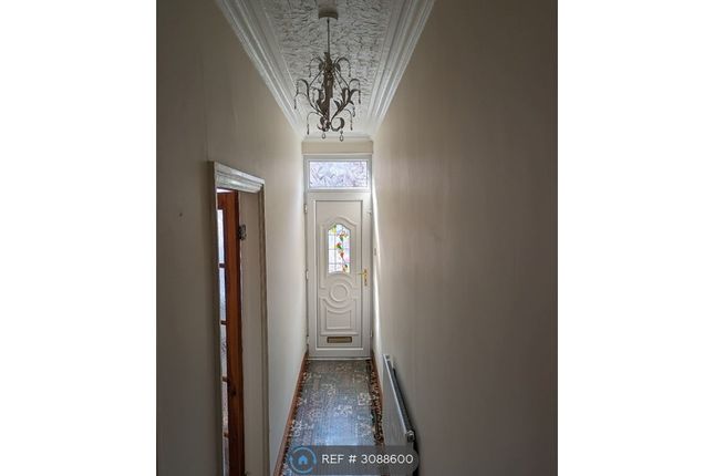 Leicester photo 3