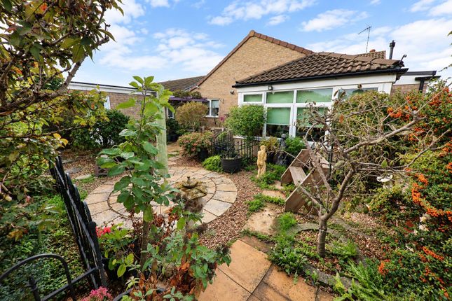 Pine Hall Road, Doncaster photo 4