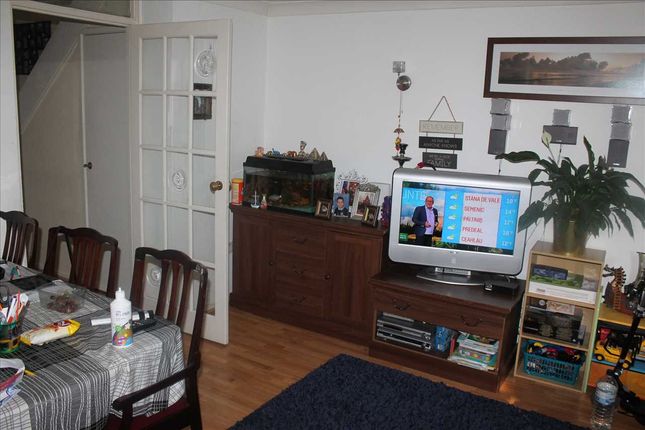 Main Picture