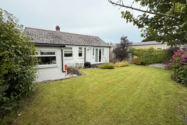 Ashgrove, Cross Inn, Near New Quay photo 3