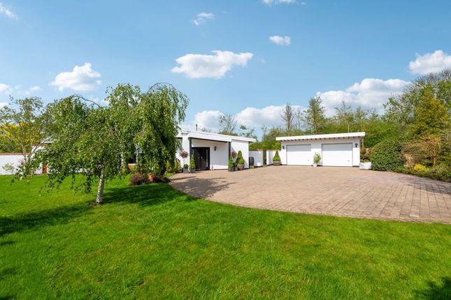 Thumbnail Detached bungalow for sale in Marsh, Aylesbury
