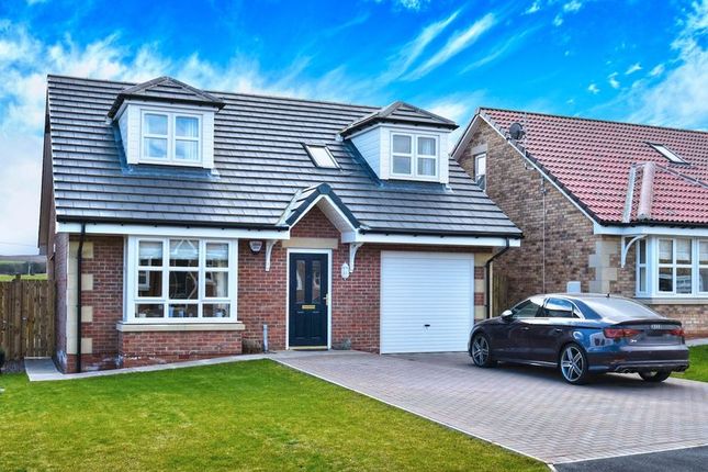 Chathill Bungalows For Sale Buy Houses In Chathill Primelocation