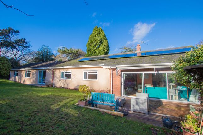 Thumbnail Bungalow for sale in Pinefields Close, West Hill, Ottery St. Mary