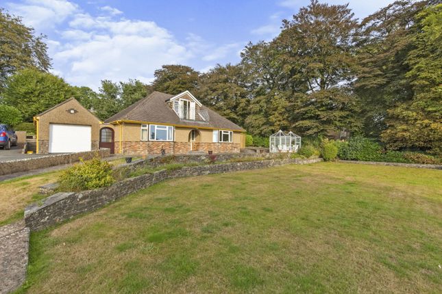 Thumbnail Bungalow for sale in Whitchurch Road, Tavistock