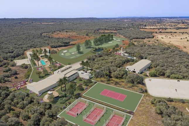 Country house for sale in Spain, Mallorca, Campos