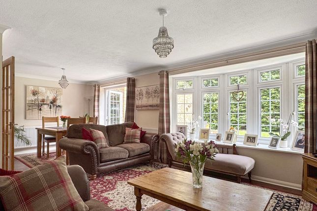 47, Firwood Drive, Camberley photo 2
