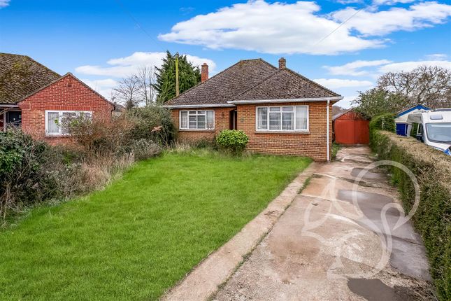 Thumbnail Detached bungalow for sale in Orchard Avenue, Halstead