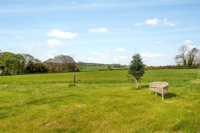Garden And View
