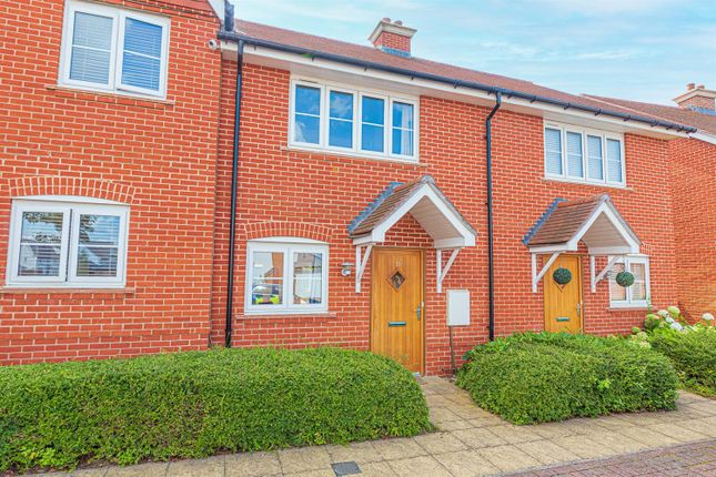 Detached house to rent in Culver Grove, Wokingham