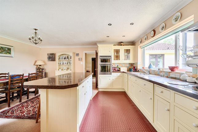 Oakwood, Shute Road, Axminster photo 4