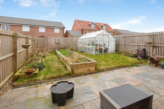 12, Eider Close, Amble photo 4
