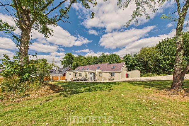 Rhyd Ddolesgob, Whitland photo 2