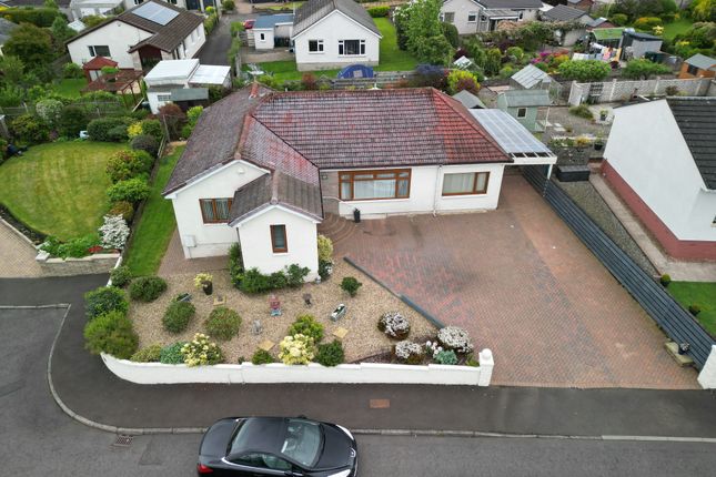 Thumbnail Detached bungalow for sale in Mount Blair View, Perth