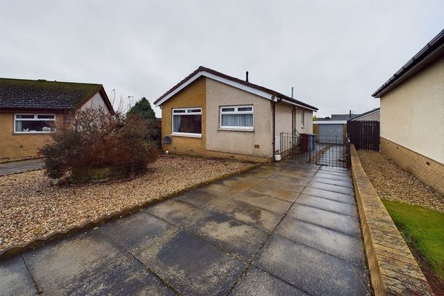 Thumbnail Bungalow for sale in Anstruther Street, Law, Carluke