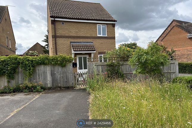 Detached House With Parking