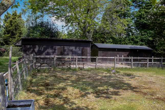 Stables