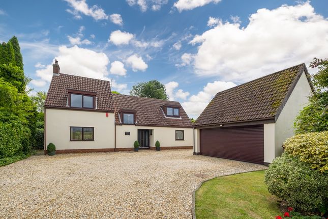Meadow View-4