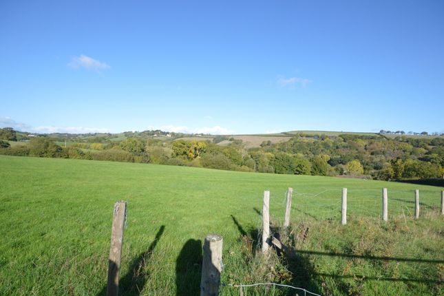 Whitestone, Devon photo 5