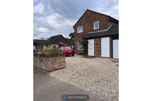 Thumbnail Detached house to rent in The Hedgerows, Norwich