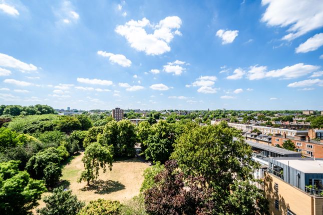 June 2025 Ll (17).Jpg