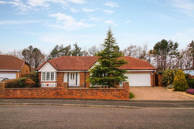 Thumbnail Detached bungalow for sale in North Ridge, Whitley Bay, Tyne And Wear