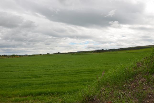 Land for sale in Rashcrook, Birnie, Elgin, Moray
