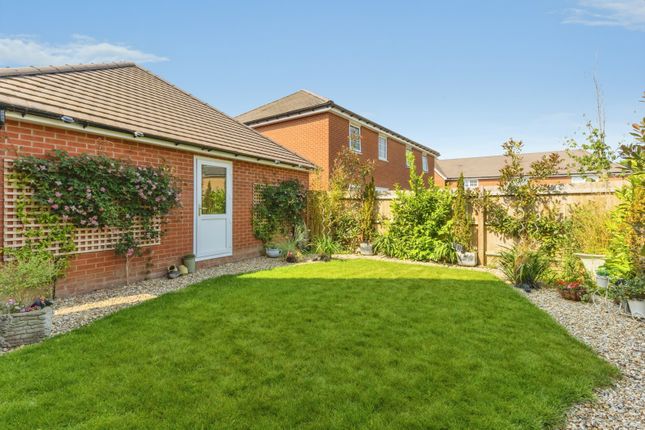 2, Angel Close, Thetford photo 4