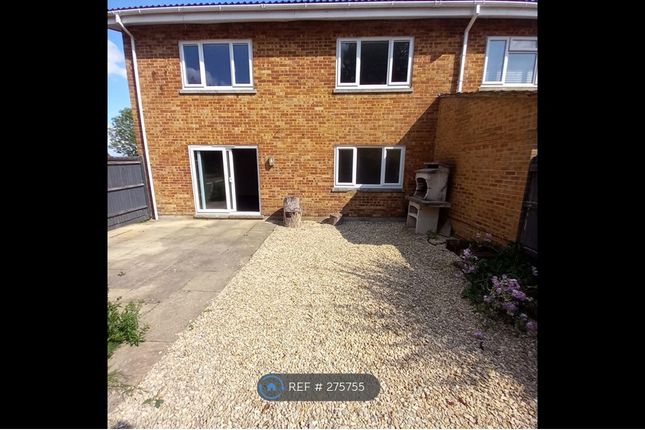 Rear Patio