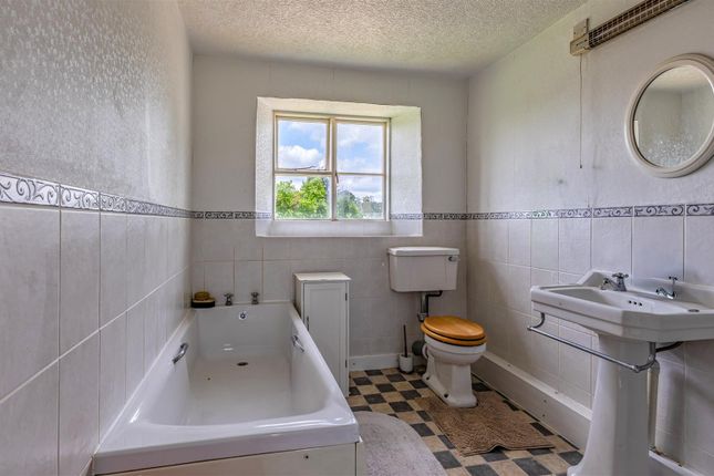 Bx1A2190-Hdr-Edit.Jpg