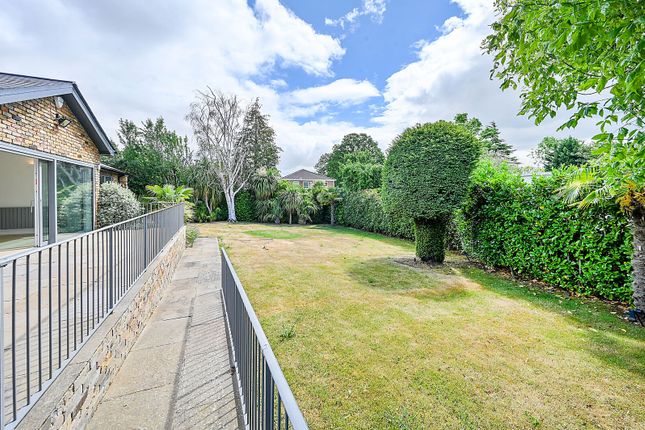Fitzgeorge Avenue, Coombe photo 3