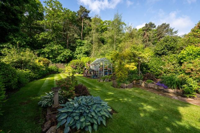 Part Of Garden