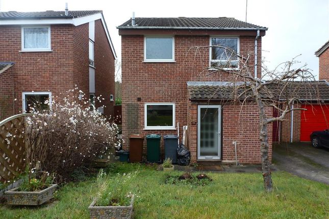 Thumbnail Property to rent in Pinfold Close, Repton, Derby