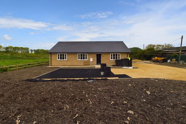 Thumbnail Detached bungalow to rent in Stuntney Causeway, Ely