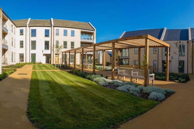 Juniper Court