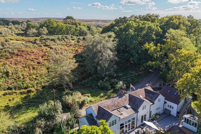 Wildwood, Newgrounds, Fordingbridge photo 3