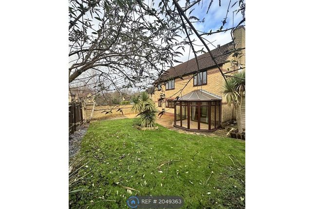 Thumbnail Detached house to rent in Sanderson Close, Kettering