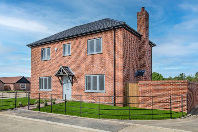 Thumbnail Detached house for sale in Plot 14, The Mallows, High Green, Brooke, Norwich