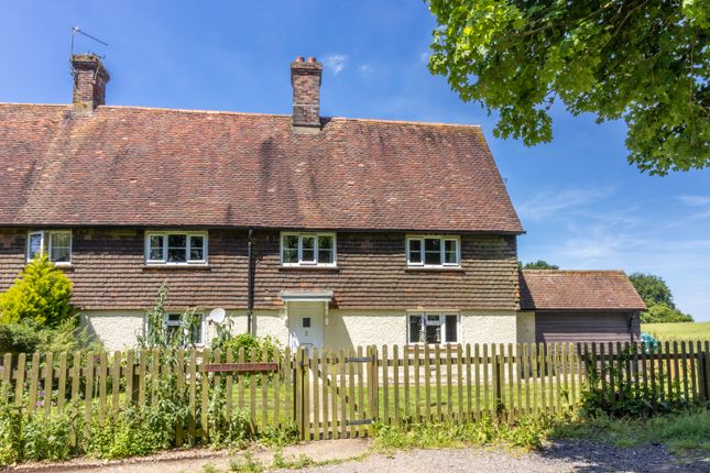 Thumbnail Cottage to rent in Soames Lane, Monkwood, Hampshire